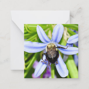 Personalized bee in flower mini notecards