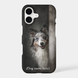 Personalized Blue Merle Sheltie Portrait