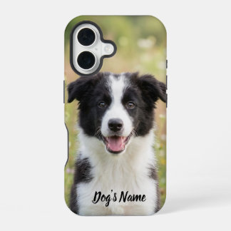 Personalized Border Collie Photo and Name iPhone 16 Case
