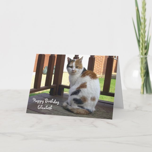 Personalized Calico cat Birthday Card (Front)
