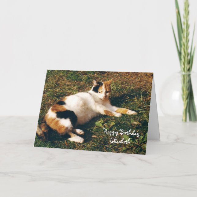 Personalized Calico cat sunbathing Birthday Card (Front)