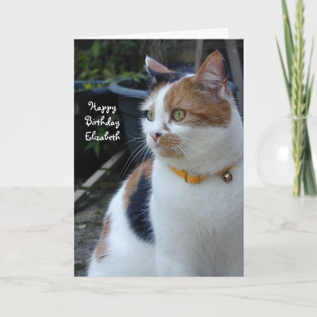 Personalized Calico cute cat Birthday Card (Front)