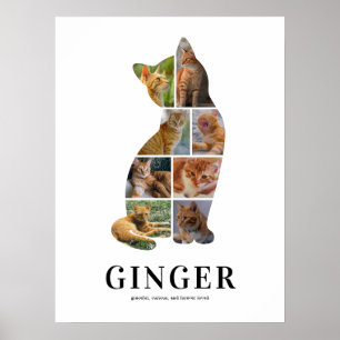 Personalized Cat Silhouette Photo Collage Poster