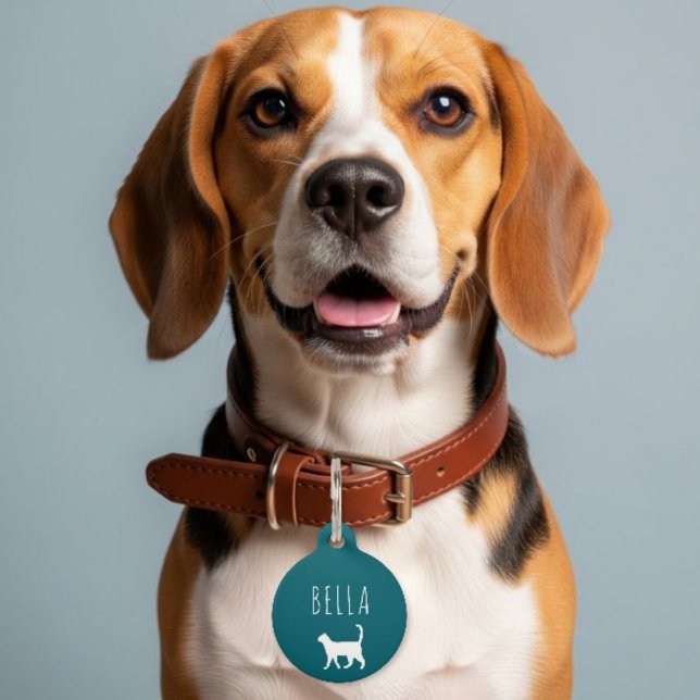 personalized charm with name + numbers pet tag (Creator Uploaded)