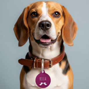personalized charm with name + numbers pet tag