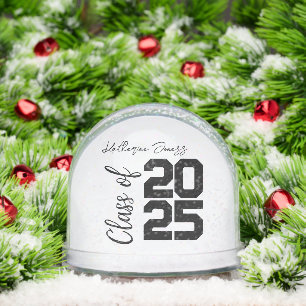 Personalized Class of 2025,A Timeless Graduation  Snowglobe