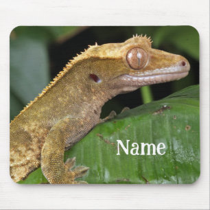 Personalized Crested Gecko Pet Lizard Mouse Mat