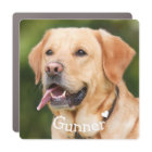 Personalized Custom Dog Cat Pet Photo Template