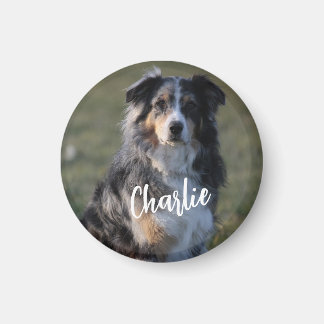 Personalized Custom Pet Dog Photo Magnet