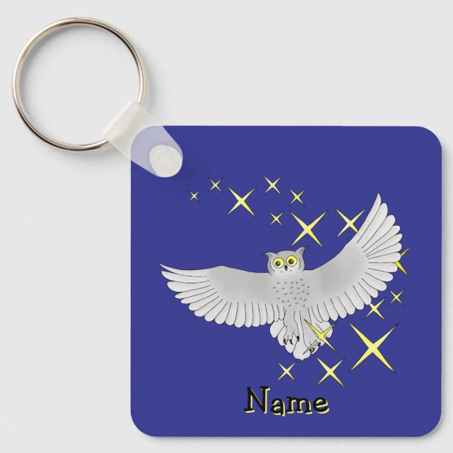 Personalized Cute Star Owl Blue Background Key Ring (Front)