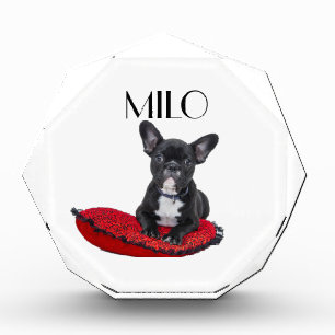 Personalized Dog Photo Block