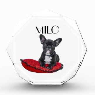 Personalized Dog  Photo Block