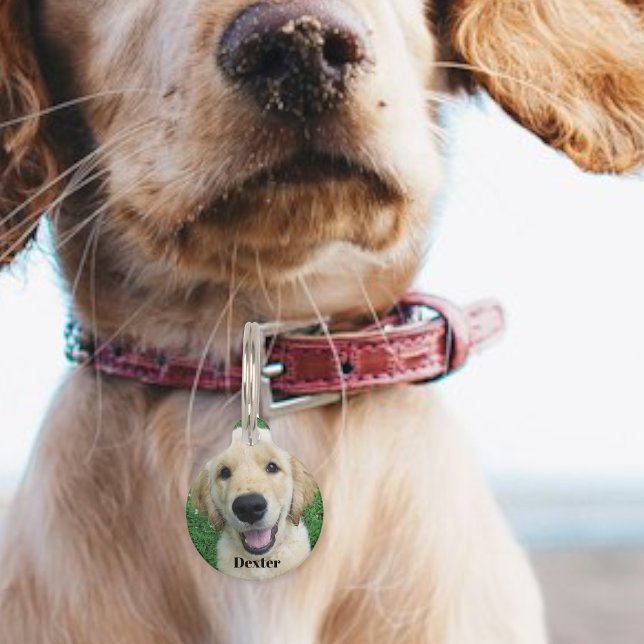 Personalized dog tag / Dog name tag  (Creator Uploaded)
