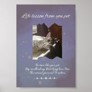 Personalized Dreamy Life Lessons from your Pet Poster