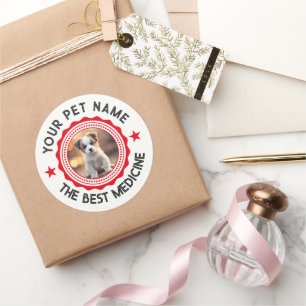 Personalized Editable Pet Lovers Classic Round Sticker