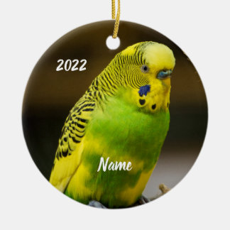 Personalized English Budgie Parakeet Ceramic Tree Decoration