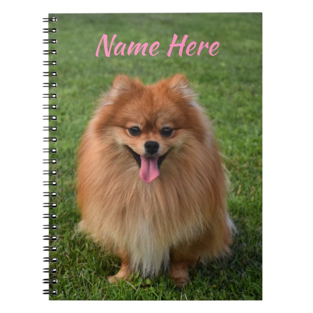 Personalized Fluffy Brown Pomeranian Dog Notebook (Front)