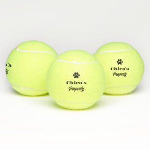 Personalized humorous dog stable tennis balls