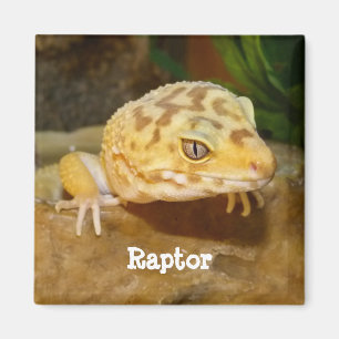 Personalized Leopard Gecko Lizard Magnet