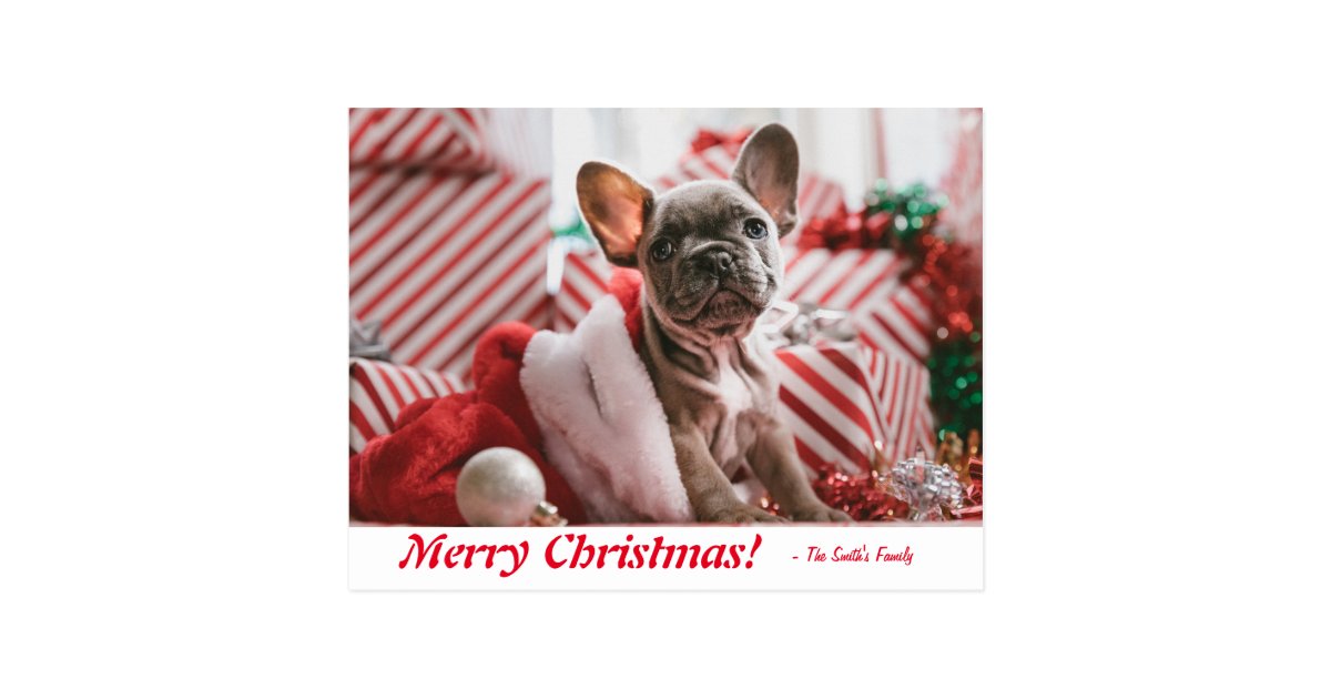 Personalized Merry Christmas French Bulldog Puppy Postcard | Zazzle.co.uk
