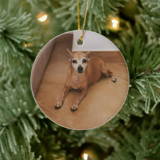 Personalized Name And Photo Pet Memorial Ceramic Tree Decoration