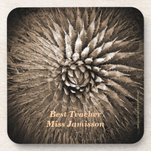 Personalized Name Best Teacher Agave Sepia Tan  Coaster