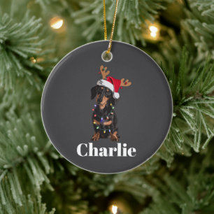 Personalized Name Christmas Dachshund Dog Lights Ceramic Tree Decoration