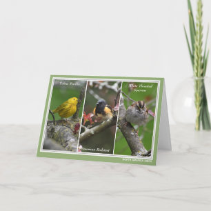 Personalized North America Birds Birthday Card