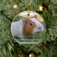 Personalized Pet Guinea Pig Photo Christmas Tree