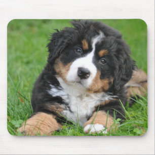 Personalized Pet Lover Dog Photo Mouse Mat