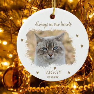 Personalized Pet Memorial Ceramic Tree Decoration