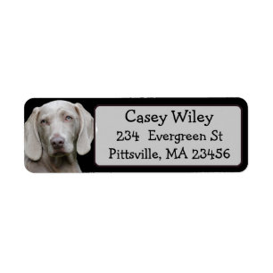 Personalized Pet or Dog Address Label