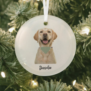 PERSONALIZED PET ORNAMENT 