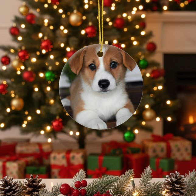 “Personalized Pet Ornament – Photo & Name” (Creator Uploaded)