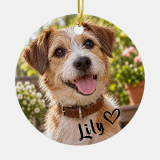 Personalized Pet Photo Acrylic Ceramic Tree Decoration