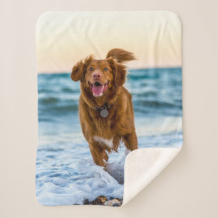 Personalized Pet Photo Keepsakes Gift Idea Sherpa Blanket
