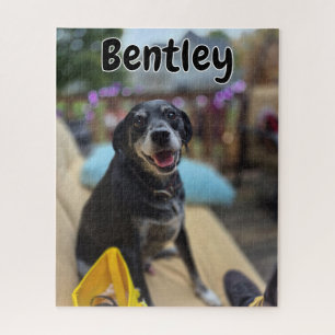 Personalized Pet Photos Template Jigsaw Puzzle