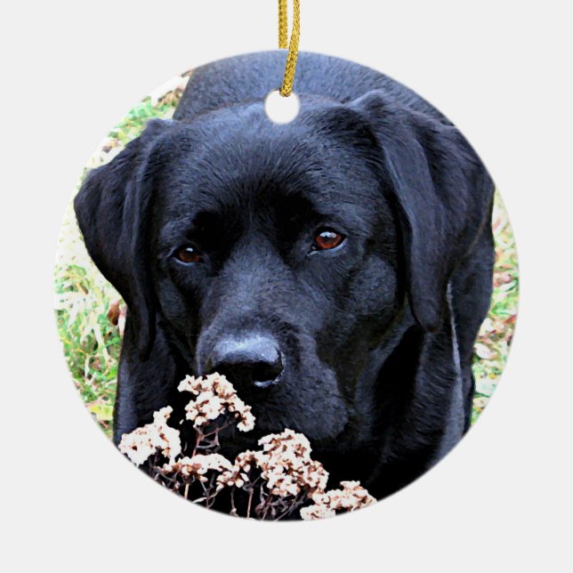 Personalized Pet Puppy Photo Dog First Christmas Ceramic Tree Decoration (Front)
