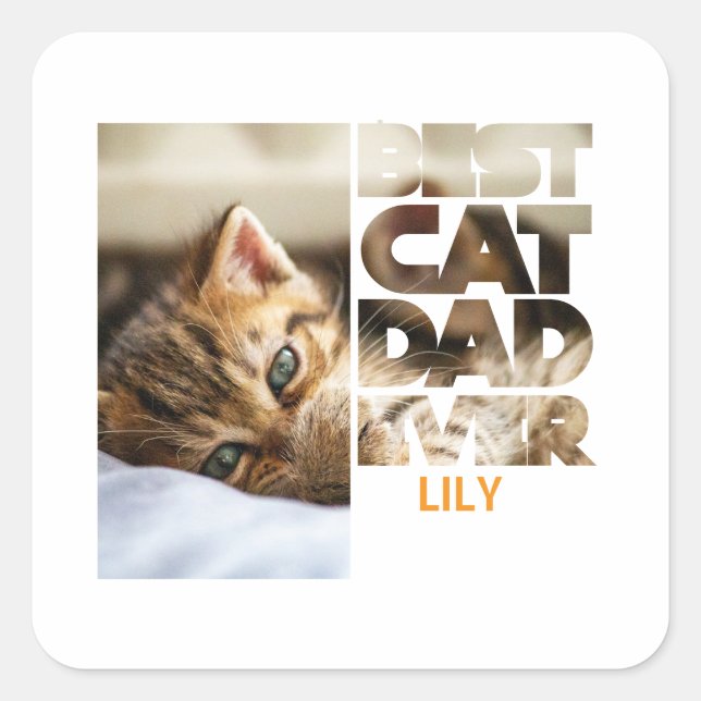 Personalized Photo Best Cat dad ever Square Sticker (Front)
