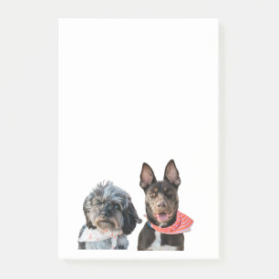 PERSONALIZED PHOTO POST-IT notes