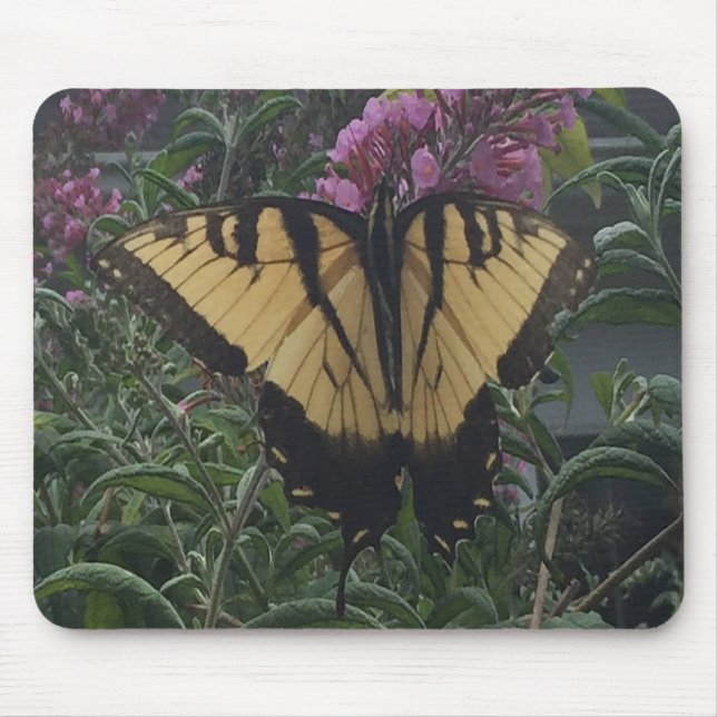 Personalized Photo Yellow and Black Butterfly  Mouse Mat (Front)