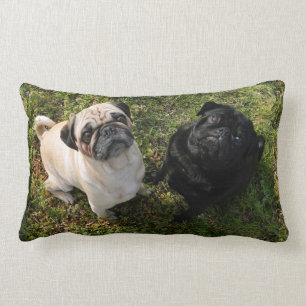 Personalized Pug Pillow, black and white Pugs, NEW Lumbar Cushion