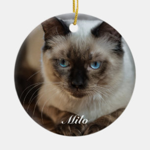Personalized Ragdoll Cat Photo and Name Ceramic Tree Decoration