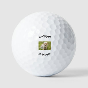 Personalized Replace Image Golf Balls