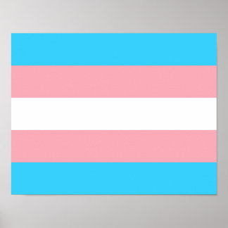 Personalized Transgender Flag Poster