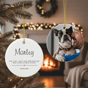 Personalized Using Pet's Photo & Name Ceramic Tree Decoration