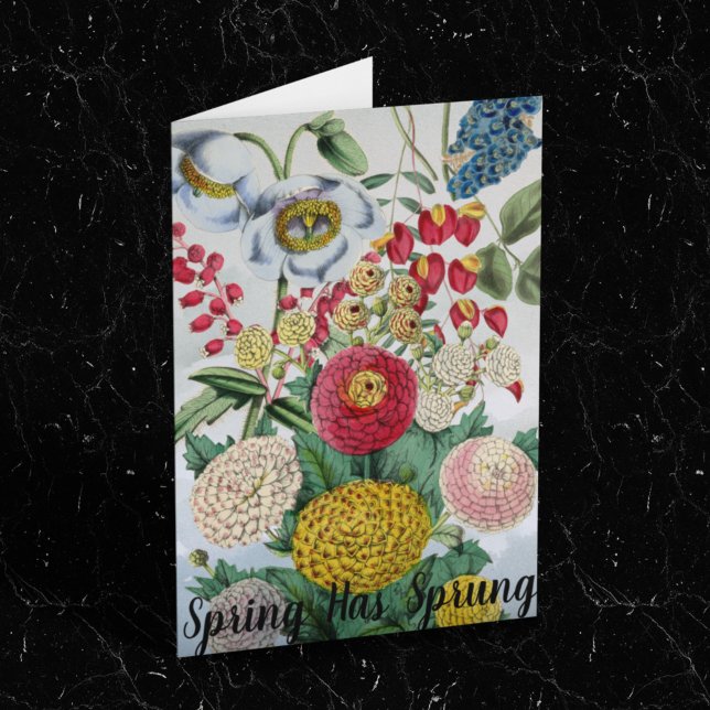 Personalized Vintage Chrysanthemum Poppy Lilac Card (Creator Uploaded)