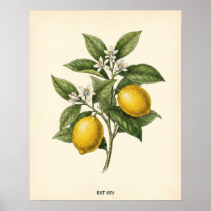 Personalized Vintage Lemon Botanical Farmhouse Kit Poster