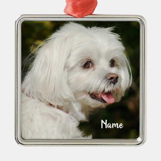 Personalized White Maltese Puppy Dog Metal Tree Decoration (Front)