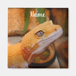 Personalized Yellow Leopard Gecko Lizard Magnet